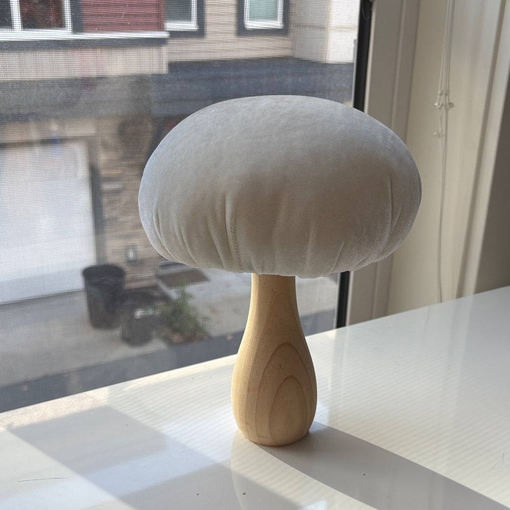Velvet Mushroom